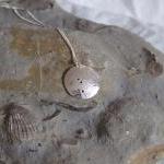 Silver Cancer pendant: The ..