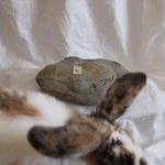 Silver Hummingbird pendant:..