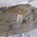 Silver Dinosaur pendant: A ..