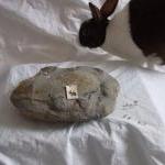 Silver rabbit pendant: The ..