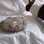 Silver rabbit pendant: The ..
