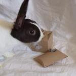 Silver rabbit pendant: The ..