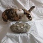 Silver rabbit pendant : A C..
