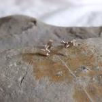 Silver Rabbit earrings: A p..