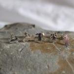 Silver Rabbit earrings: A p..