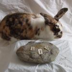 Silver Rabbit earrings: A p..