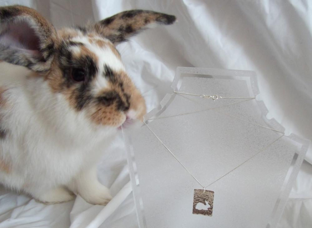 Silver rabbit pendant: The silhouette of a cute little bunny sitting against a background of textured sterling siver.